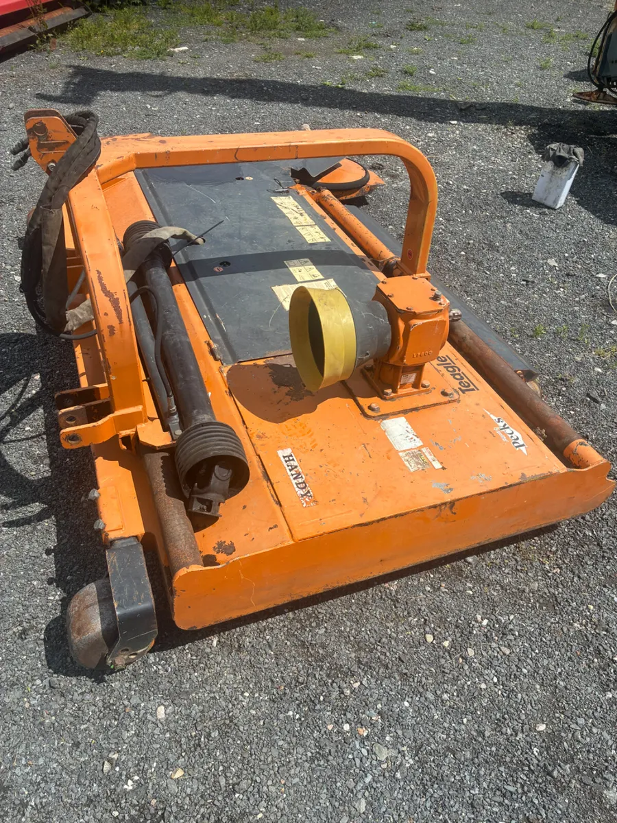 Teagle /Bertyl h/d topper - Image 4