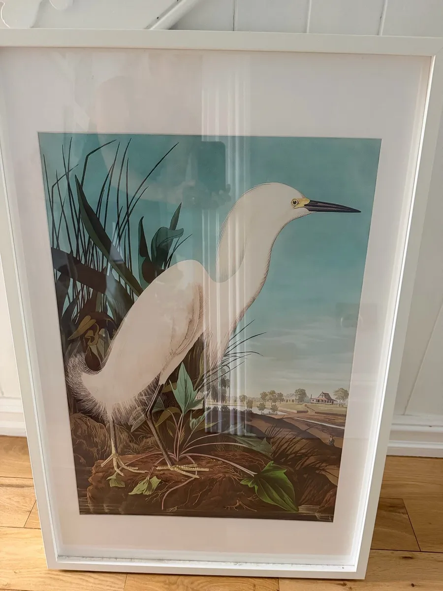 4 extra large IKEA  picture frames - Image 4