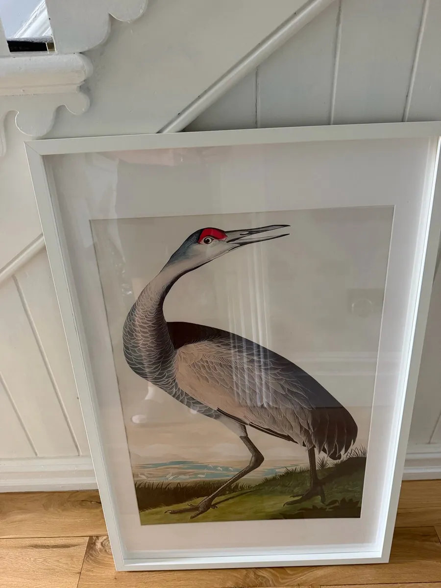 4 extra large IKEA  picture frames - Image 1