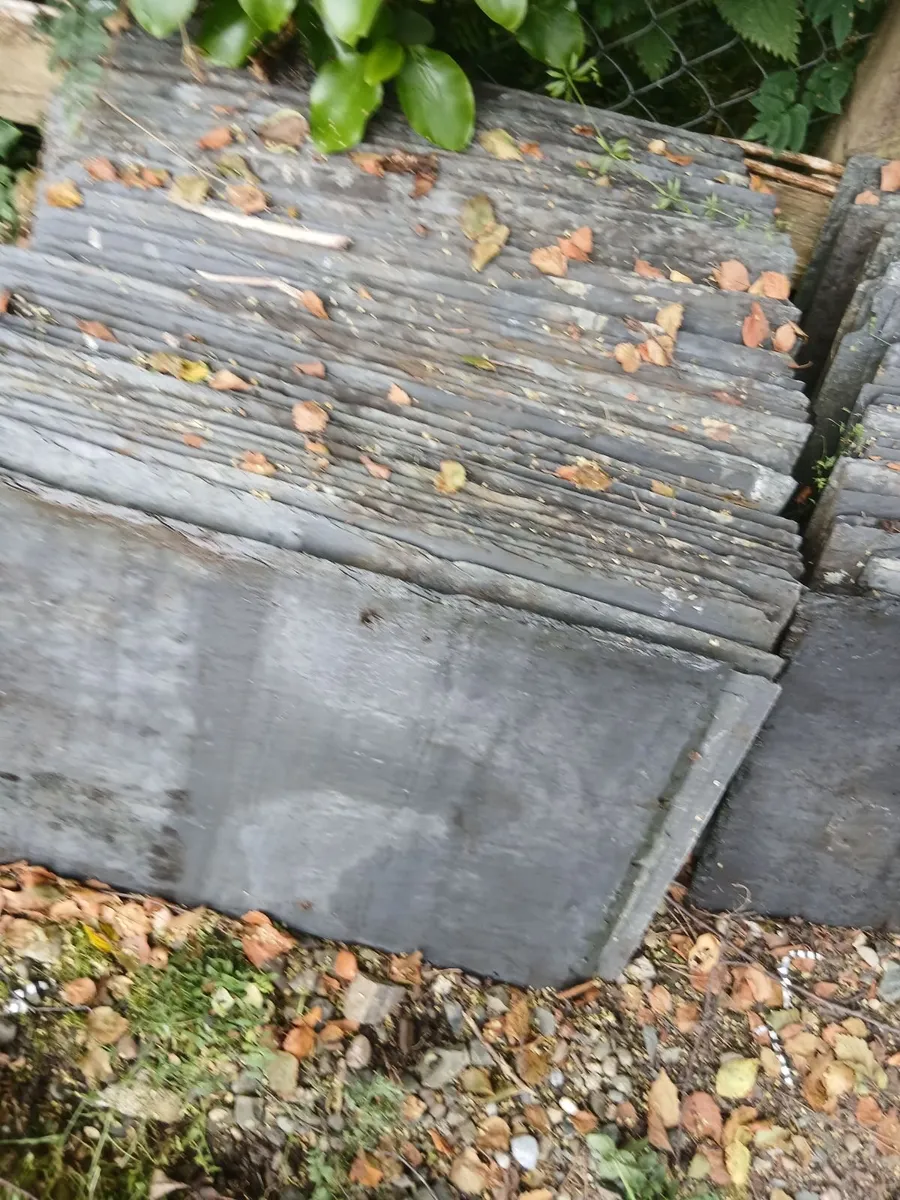 Banger Blue Slates 24 × 14 - Image 2