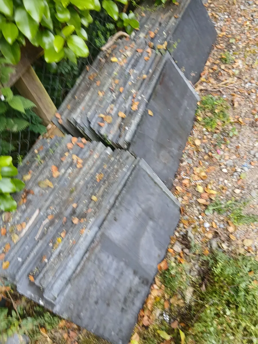Banger Blue Slates 24 × 14 - Image 4
