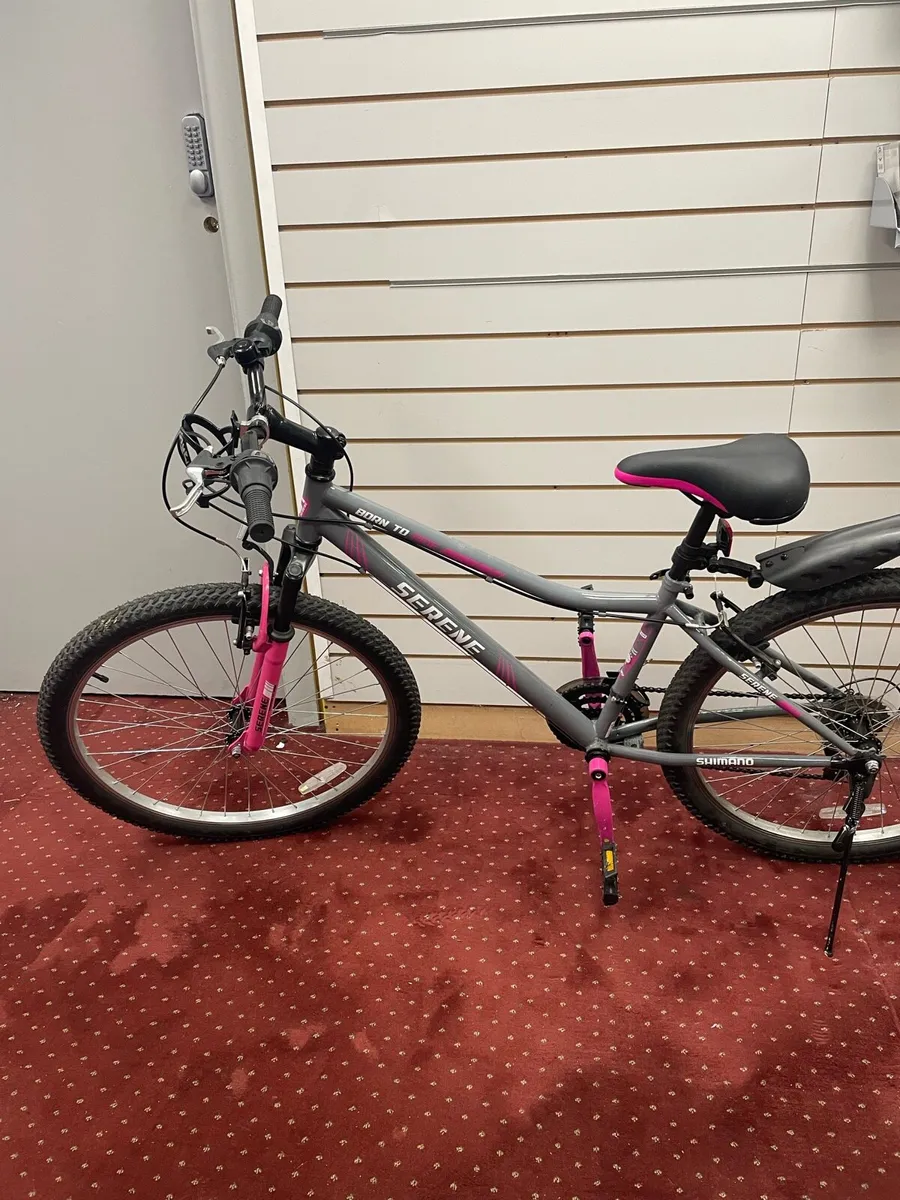 Serene girls bike 15” frame - Image 3