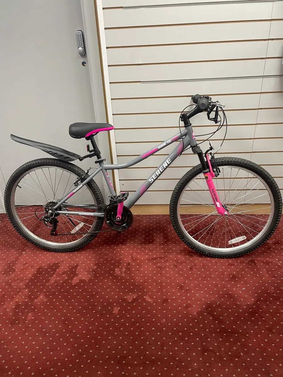Serene girls bike 15” frame - Image 1