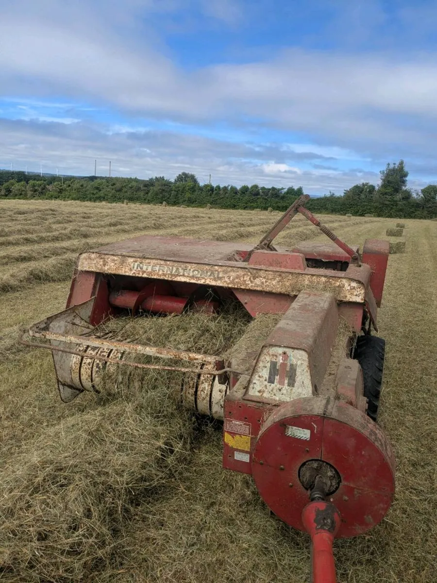 small square bales of hay