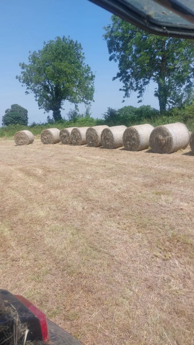 Organic Hay