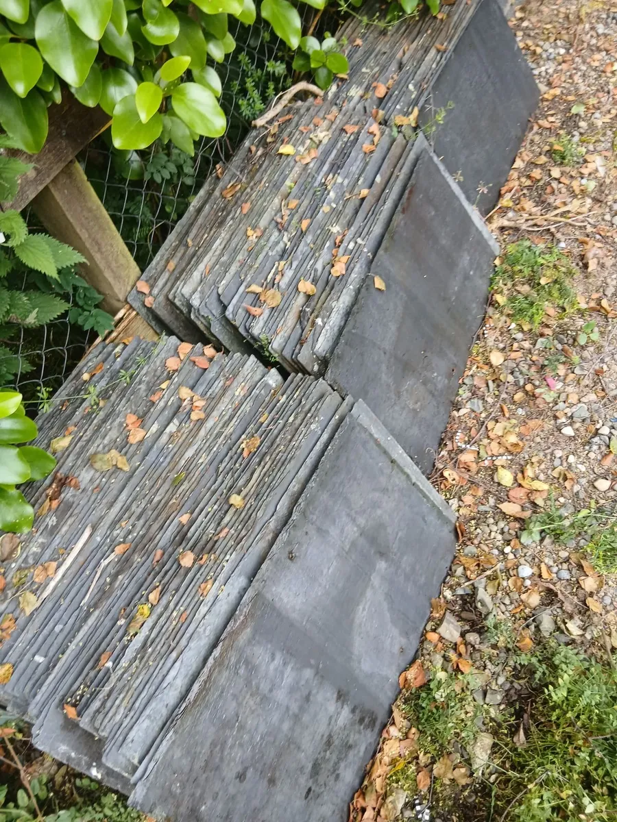 Banger Blue Slates: Rare 24 inches  by 14 inches - Image 1