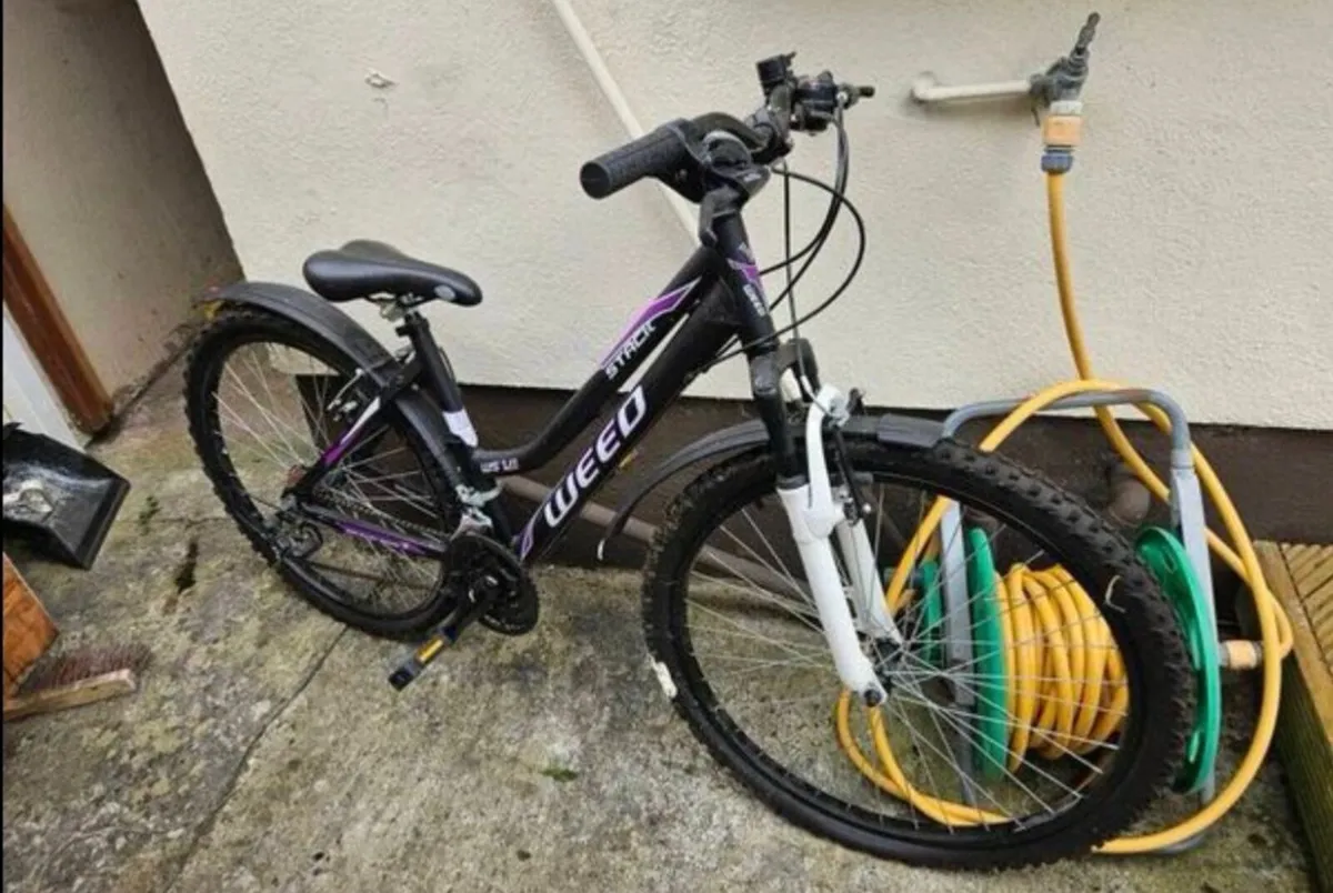 Bike - Image 2