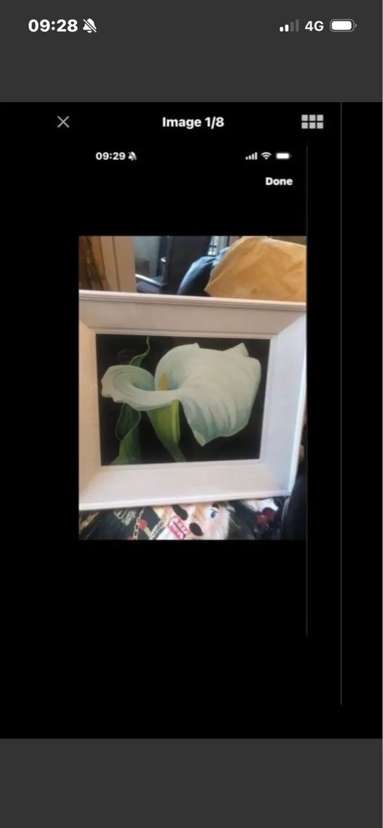 Arum Lily- Original Nicola Lynch Morrin Painting - Image 1