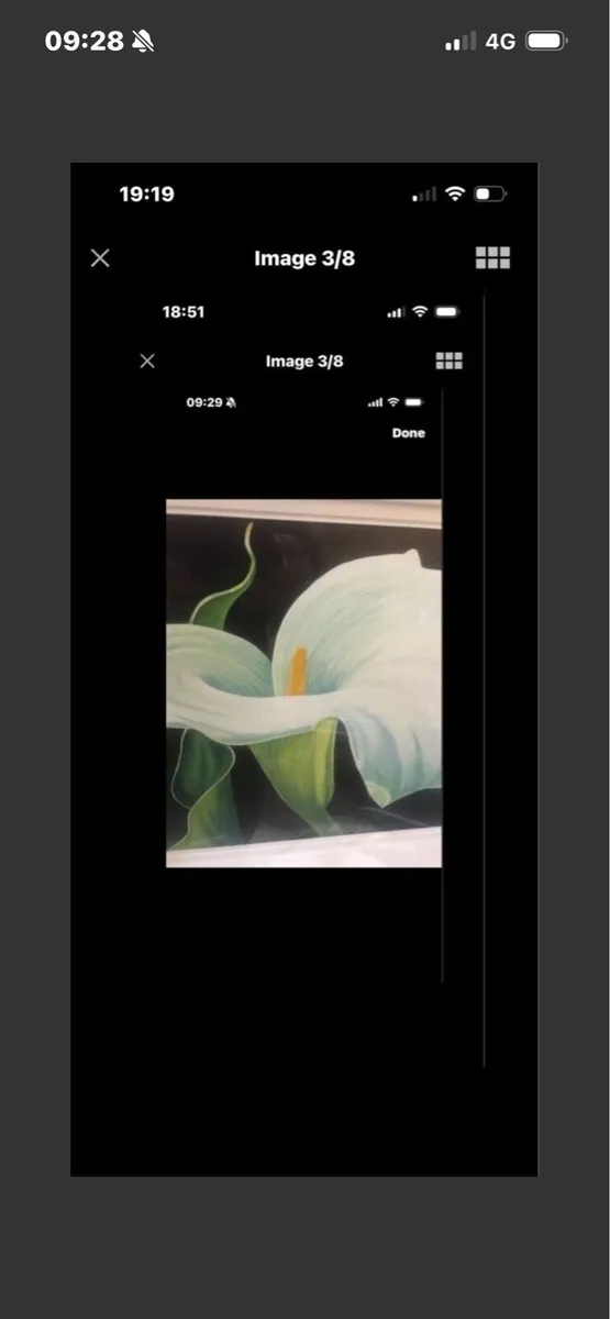 Arum Lily- Original Nicola Lynch Morrin Painting - Image 3