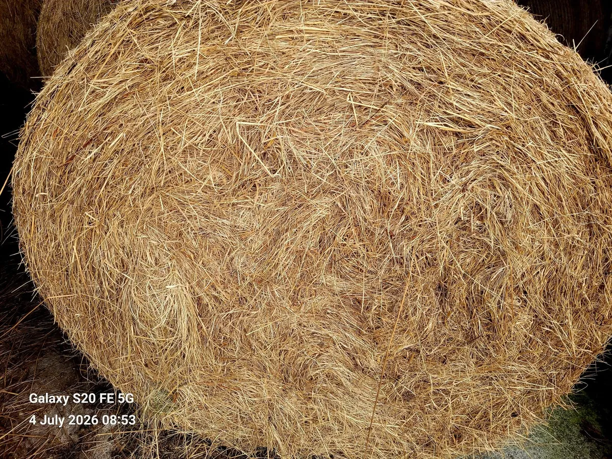 Bales of hay