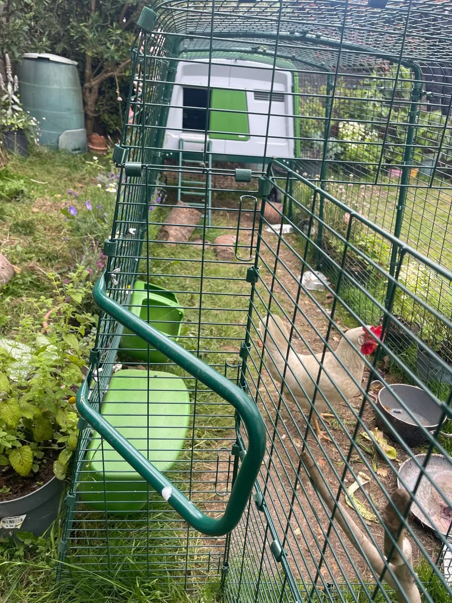 Chicken coop and 4m run electric door & light - Image 4