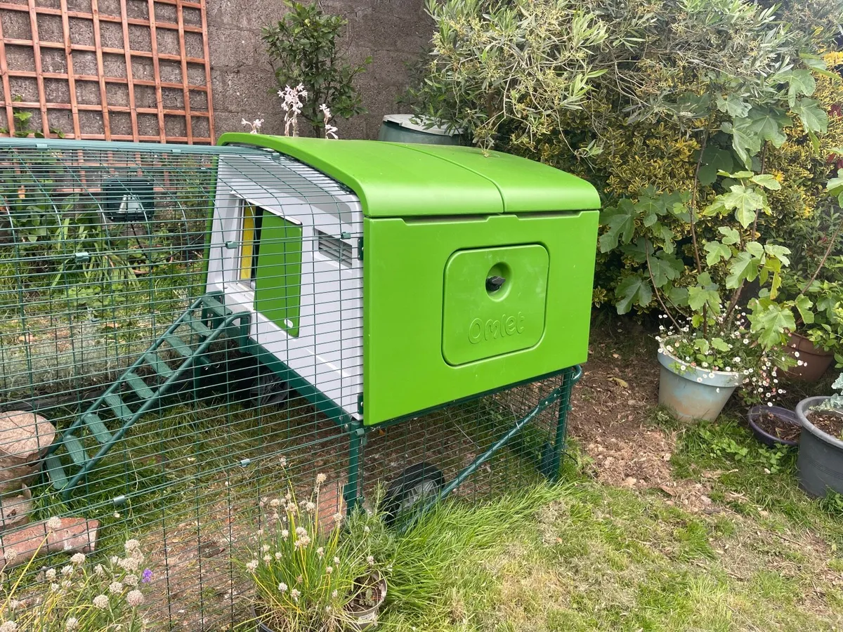 Chicken coop and 4m run electric door & light - Image 1