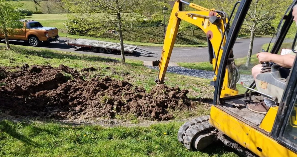 JCB mini digger grave digger spec - Image 4