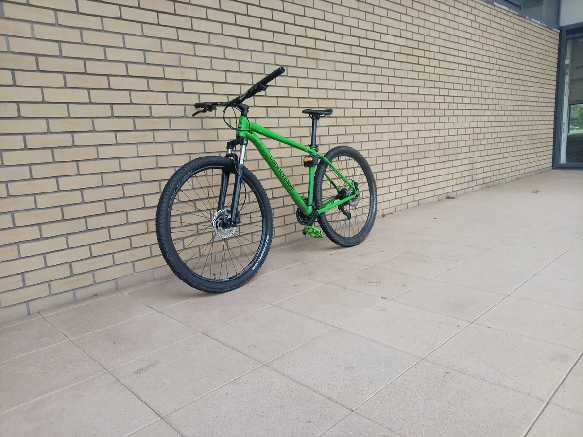 Cannondale - Image 2