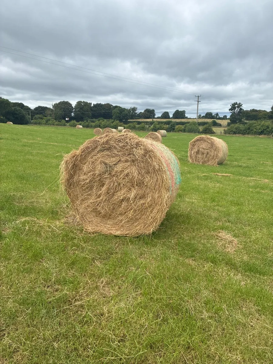 4x4 Hay - Image 1