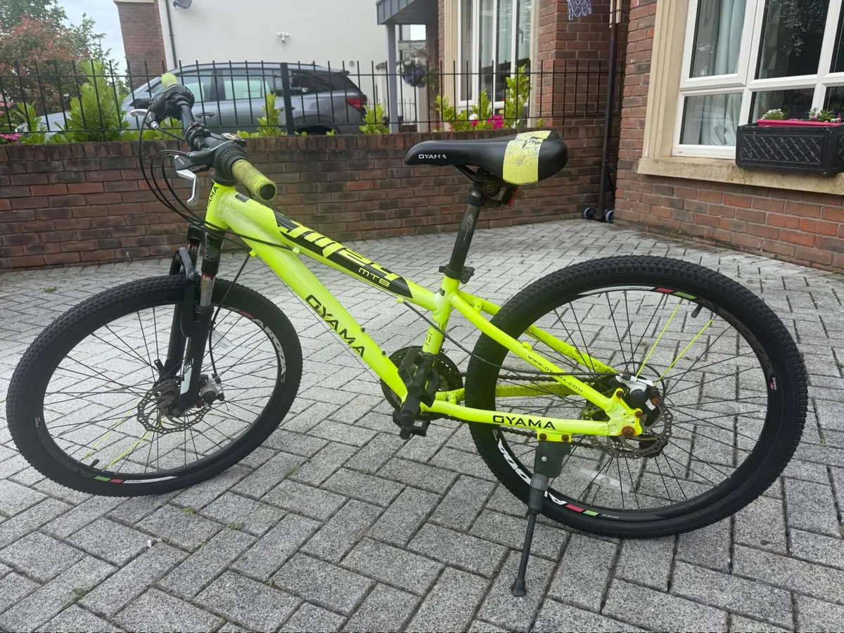 Boys Mountain Bike - Image 1