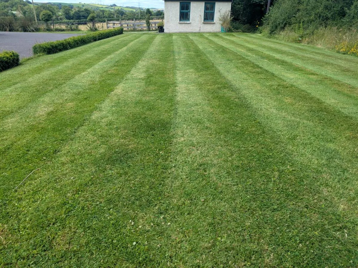 manual reel mower (cylinder mower) - Image 4