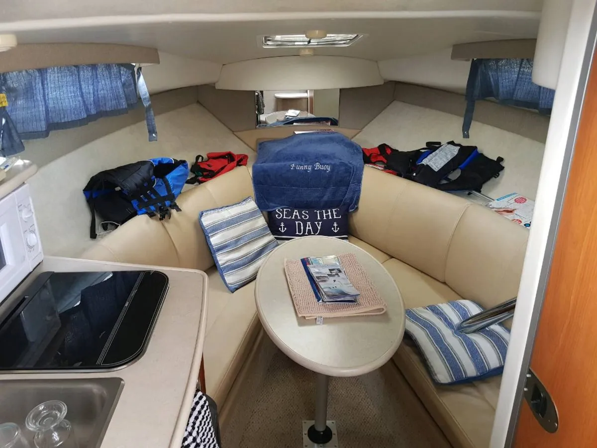 Sports Cruiser - Image 3