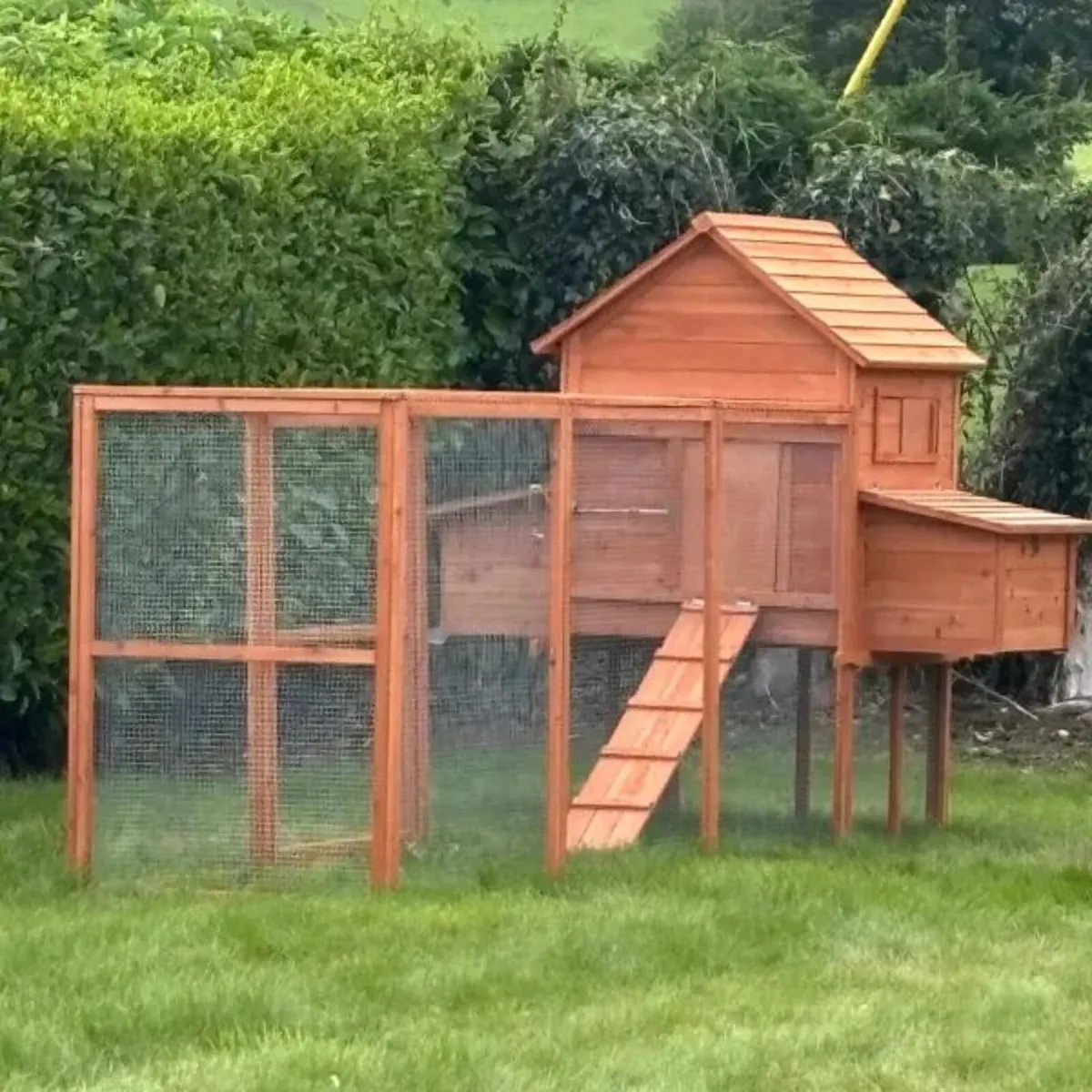 Large Chicken Coop 6-9 Birds Natural Wood - Image 3