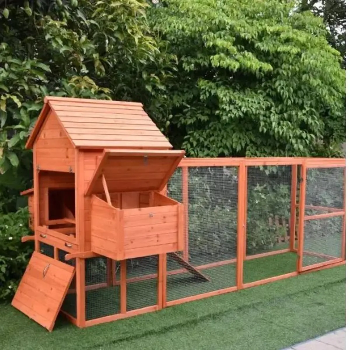 Large Chicken Coop 6-9 Birds Natural Wood - Image 4