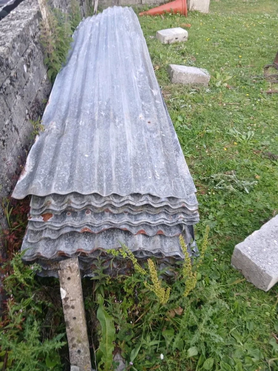 Galvanise sheets - Image 1