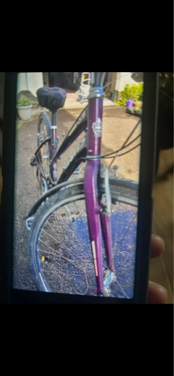 Adult Bike