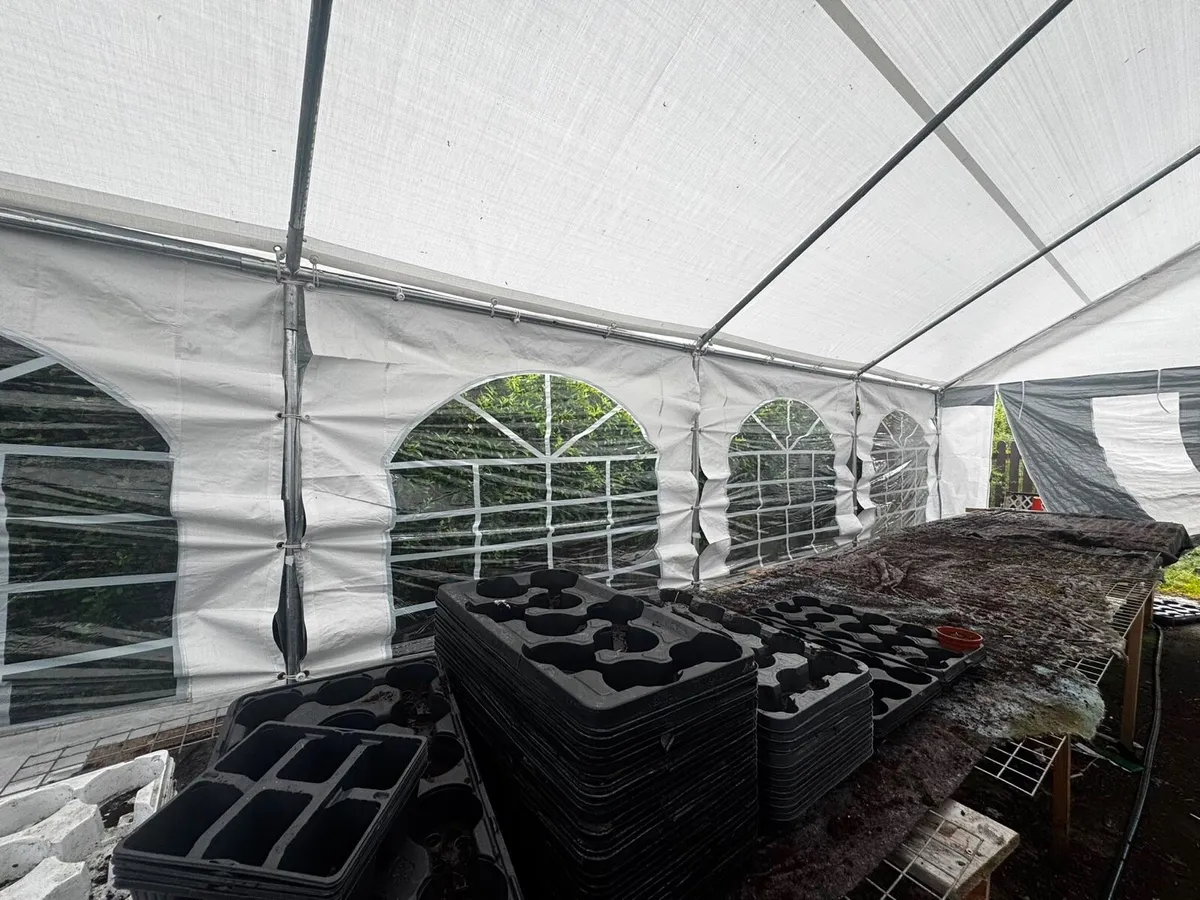 4x8m Marquee/party tent grey-white - Image 2