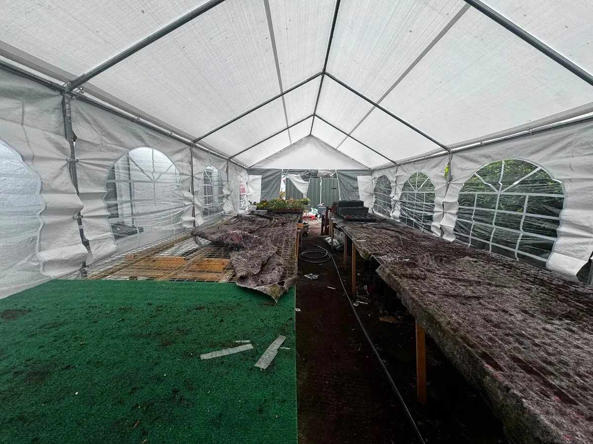 4x8m Marquee/party tent grey-white - Image 3