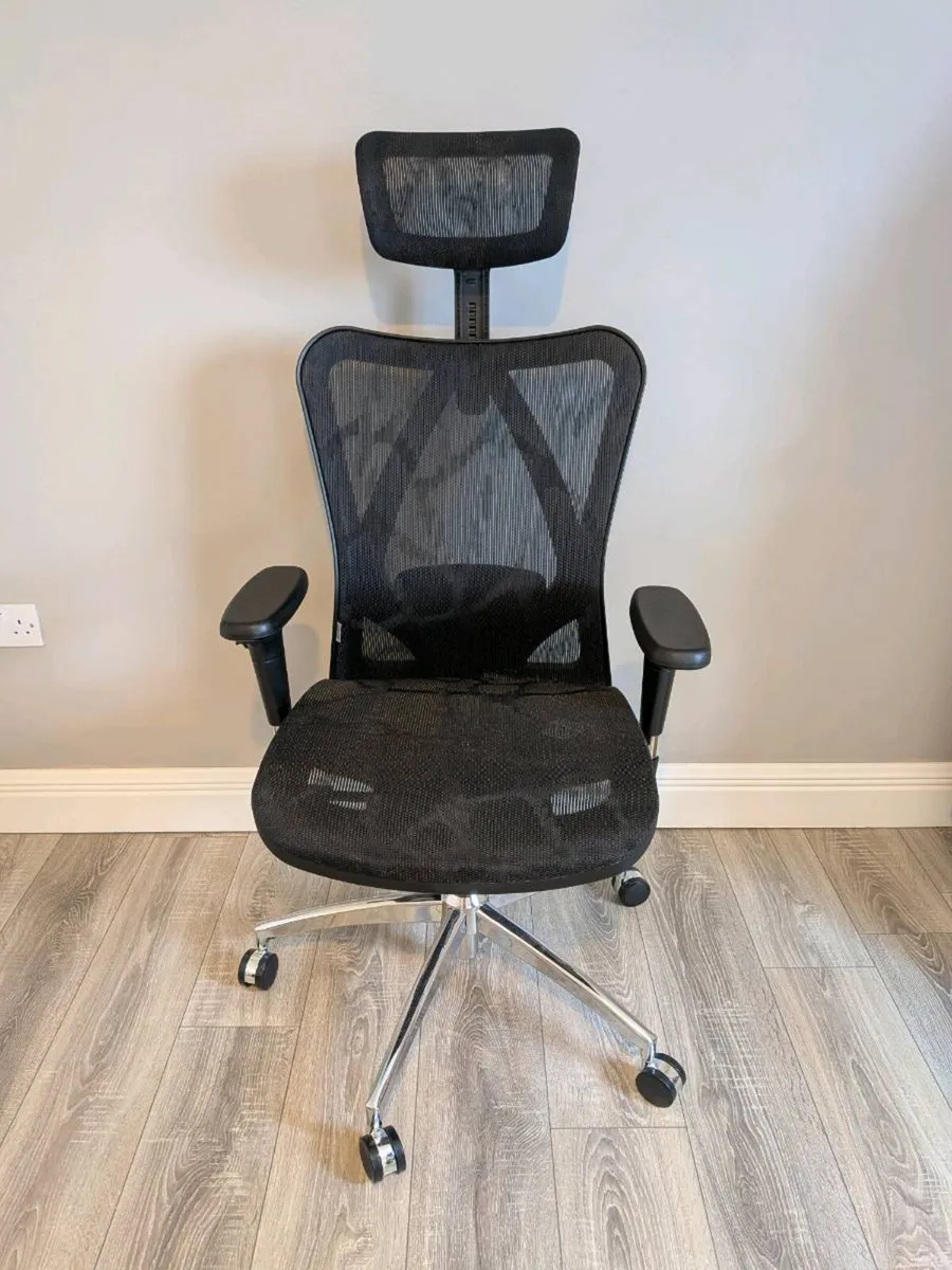 SIHOO M57 Ergonomic Office Chair - Image 1