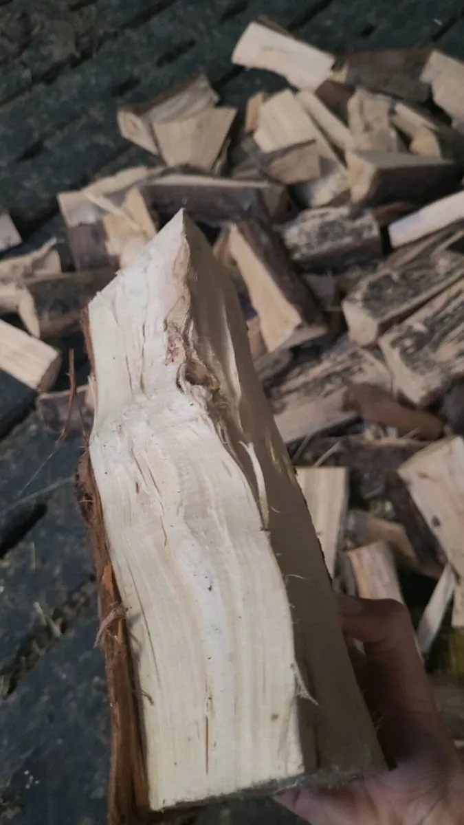 Timber softwood - Image 3