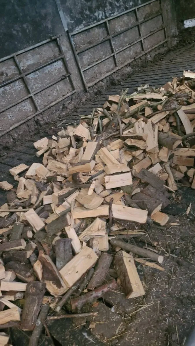 Timber softwood - Image 1