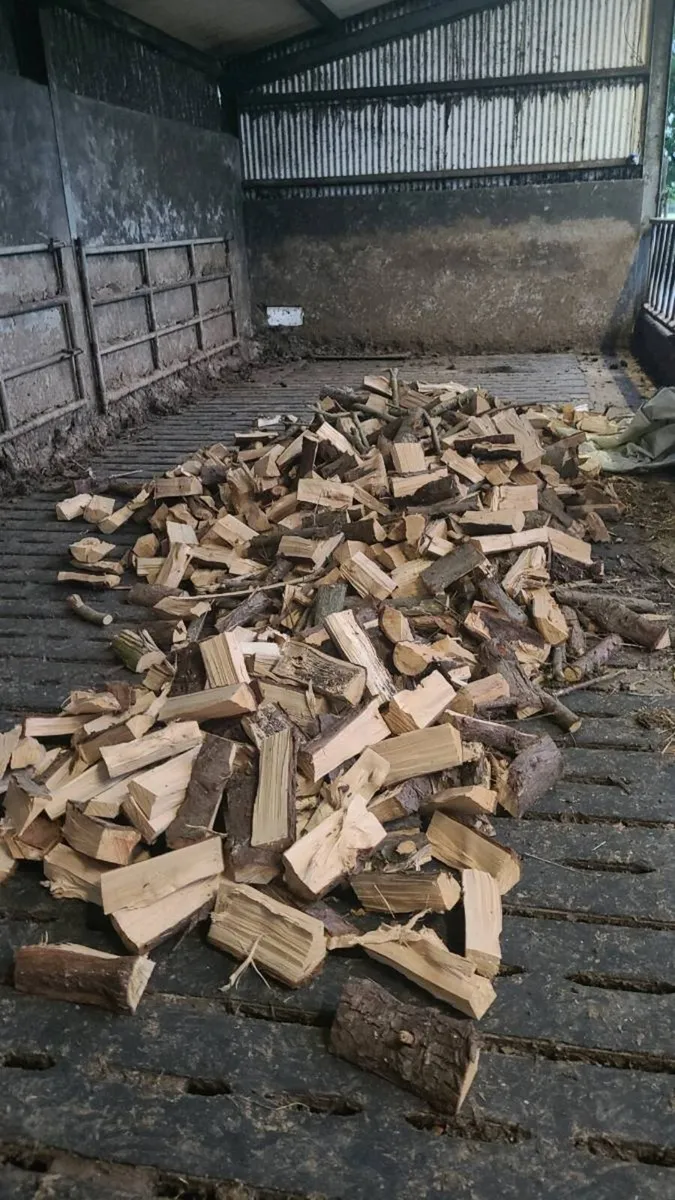 Timber softwood - Image 2