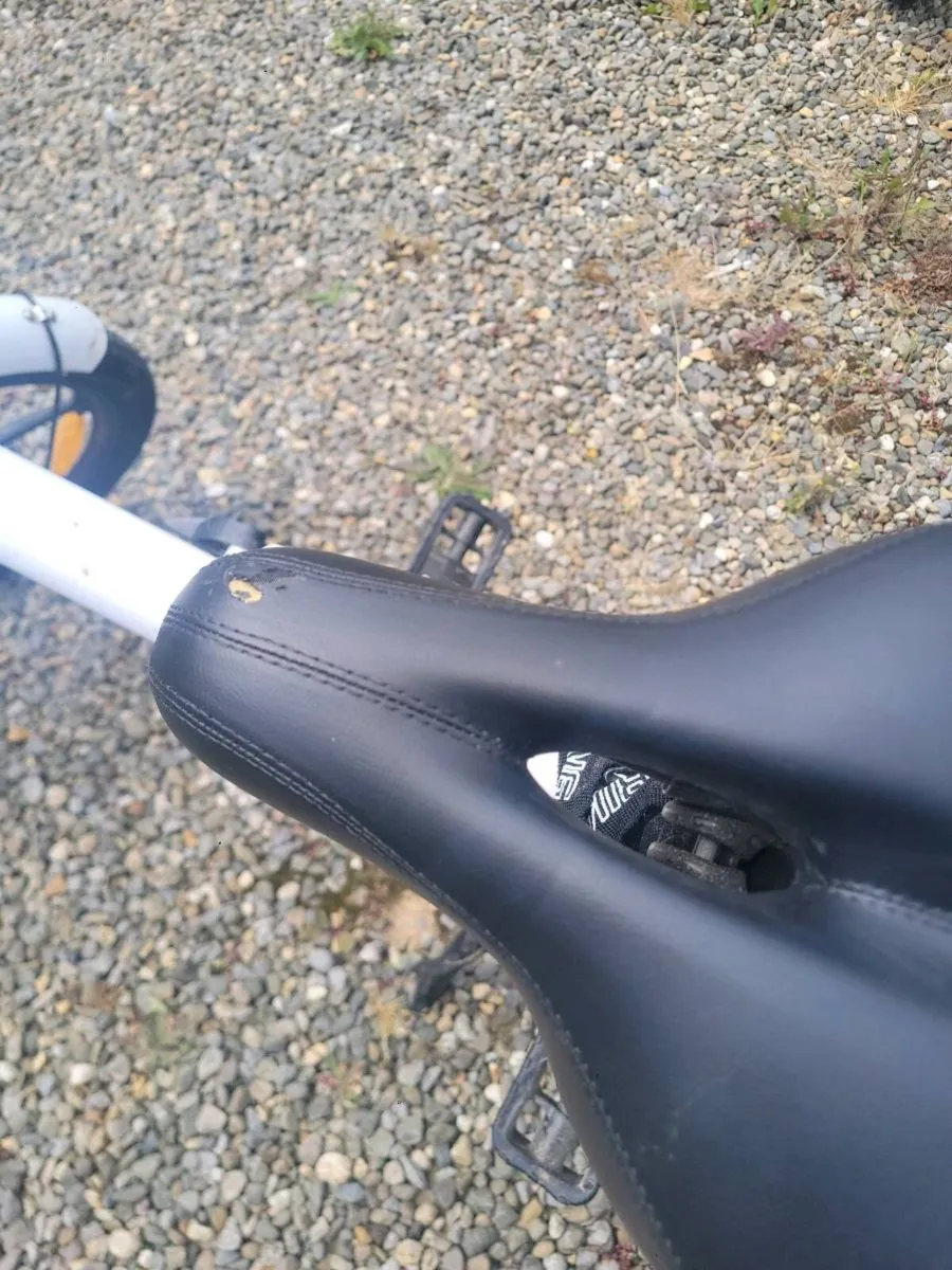 E bike - Image 4