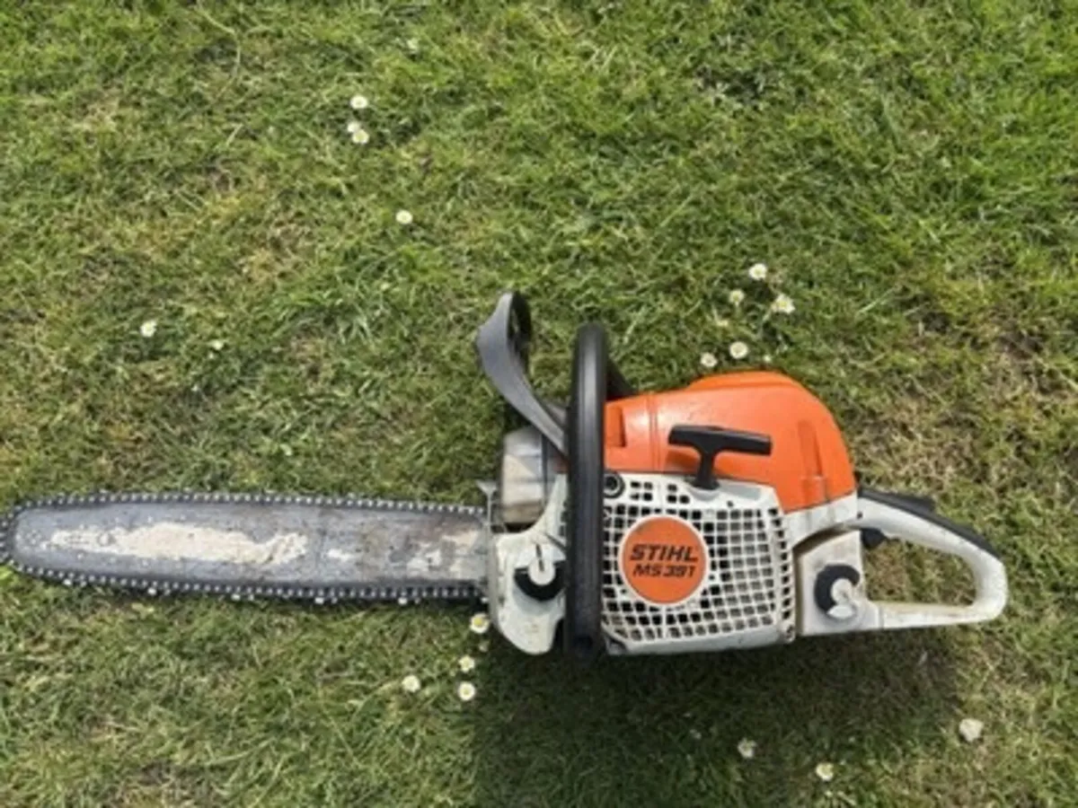 Stihl ms 290