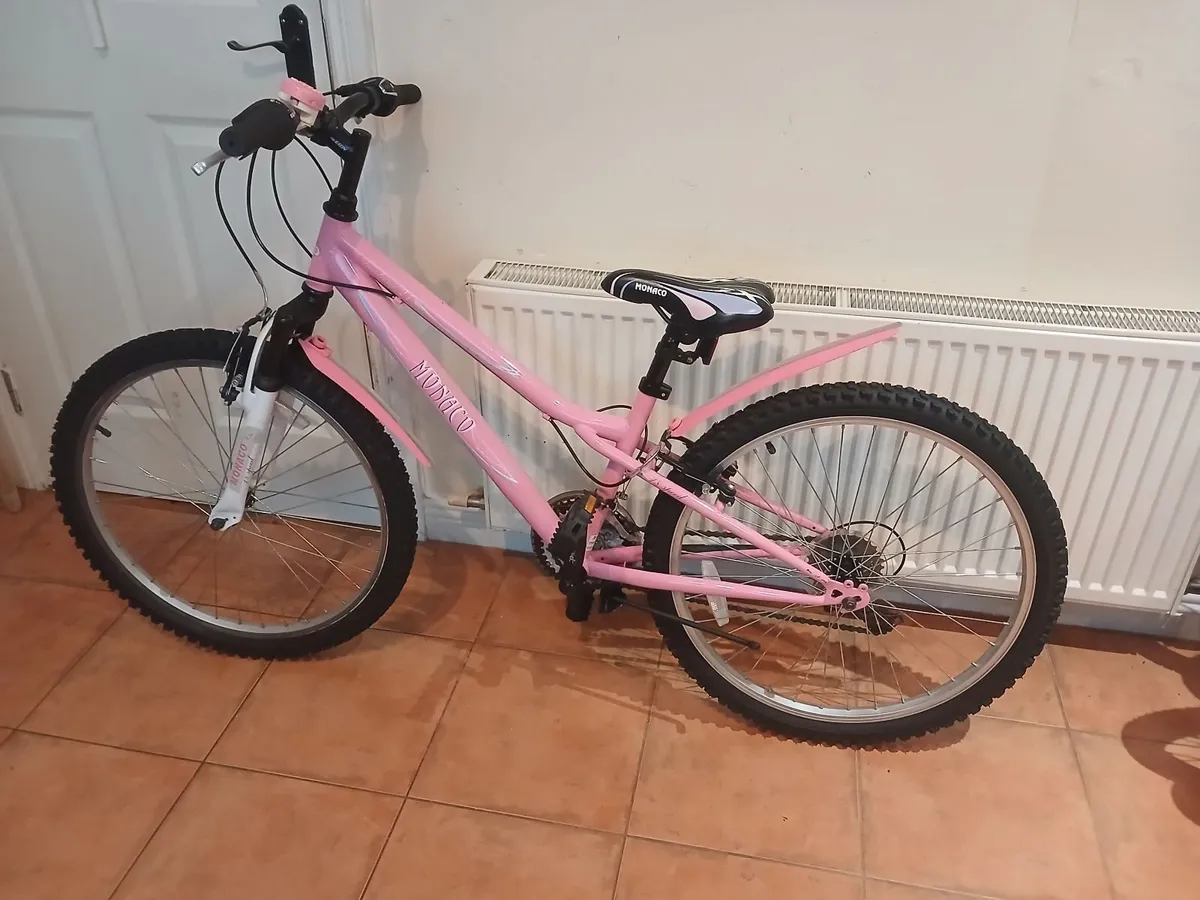 Bicycle - Image 1