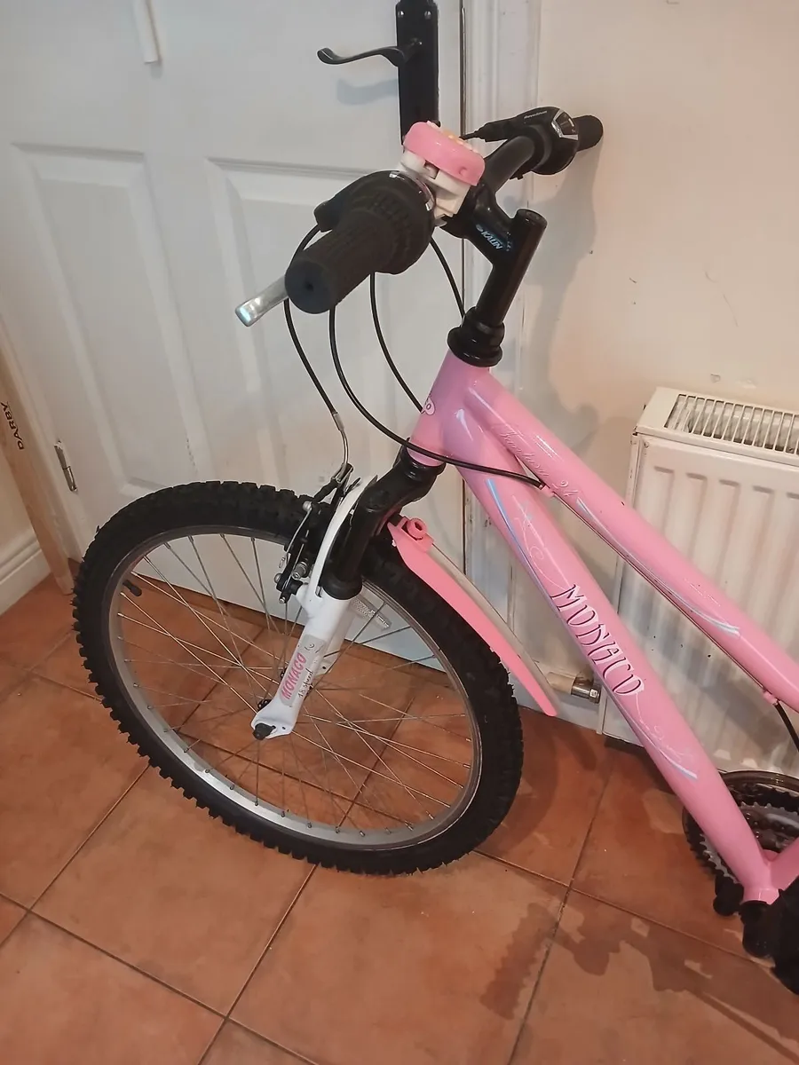 Bicycle - Image 2