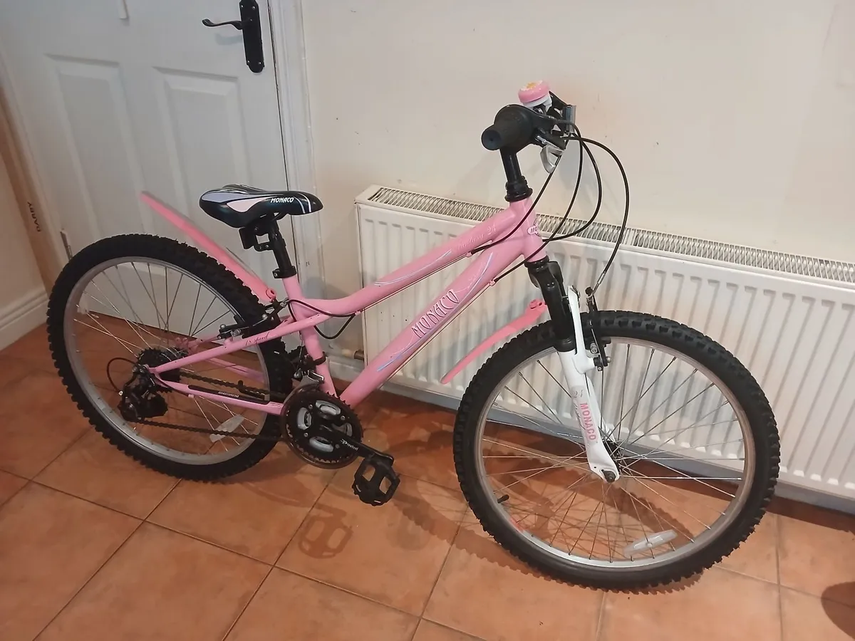 Bicycle - Image 4