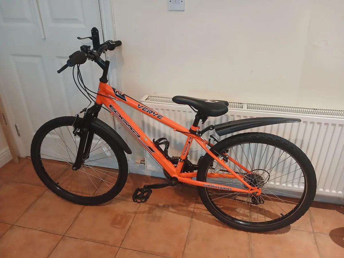 Bicycle - Image 1
