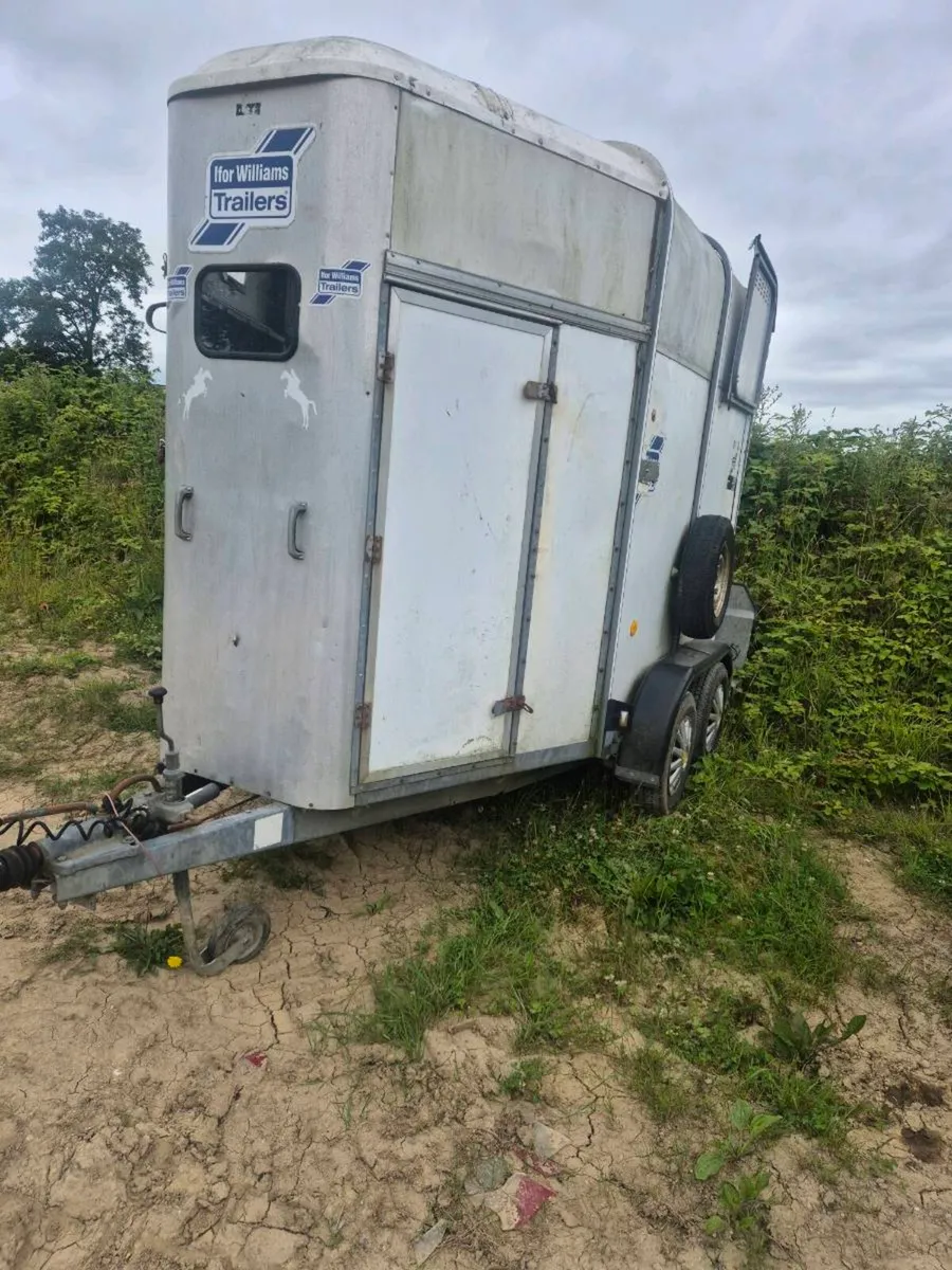 Ifor williams 505 Horsebox - Image 3