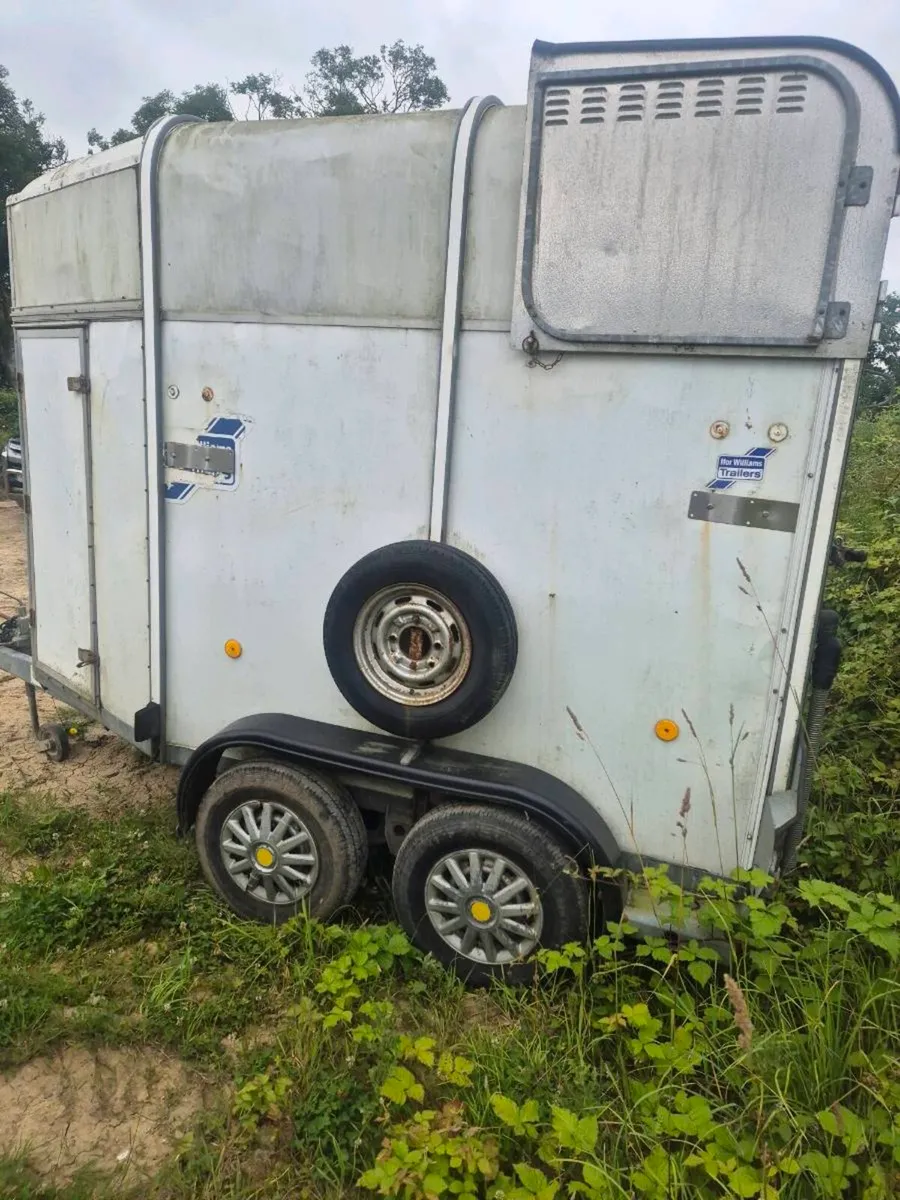 Ifor williams 505 Horsebox - Image 4