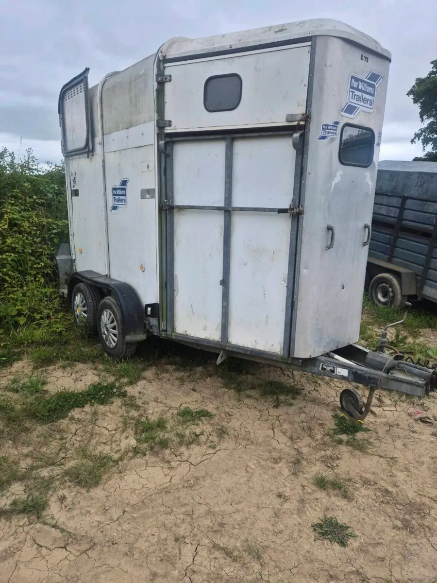 Ifor williams 505 Horsebox - Image 1