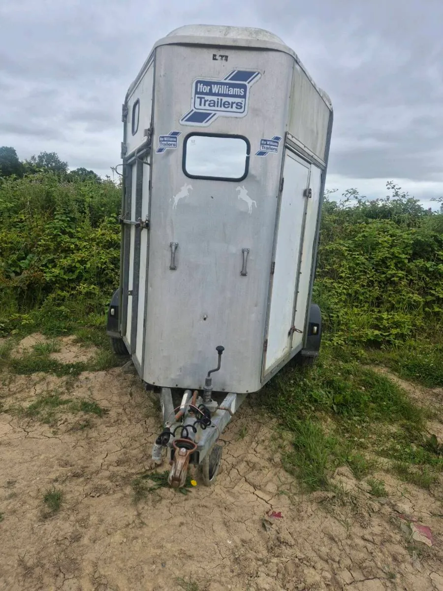 Ifor williams 505 Horsebox - Image 2