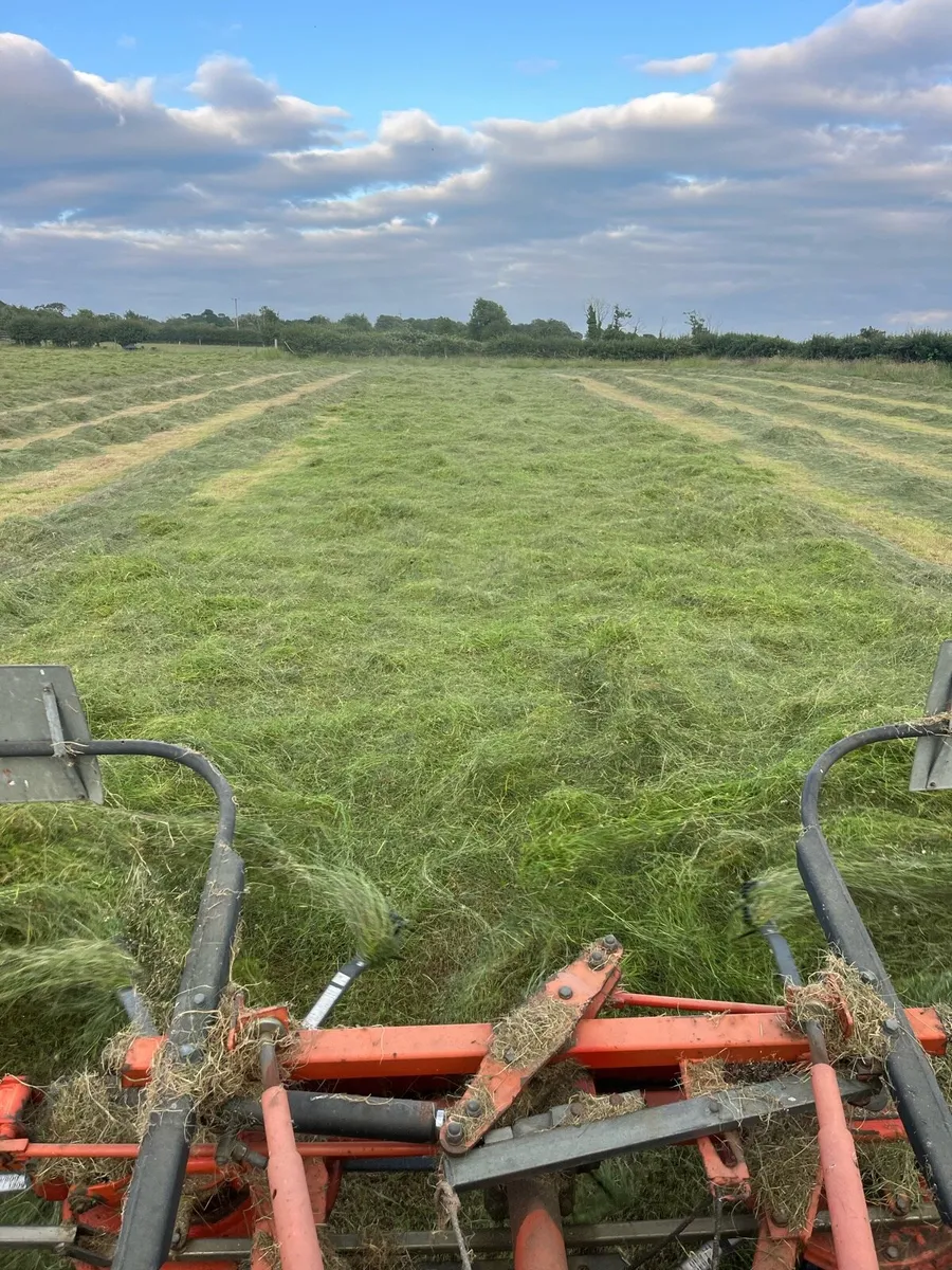 Small square Hay