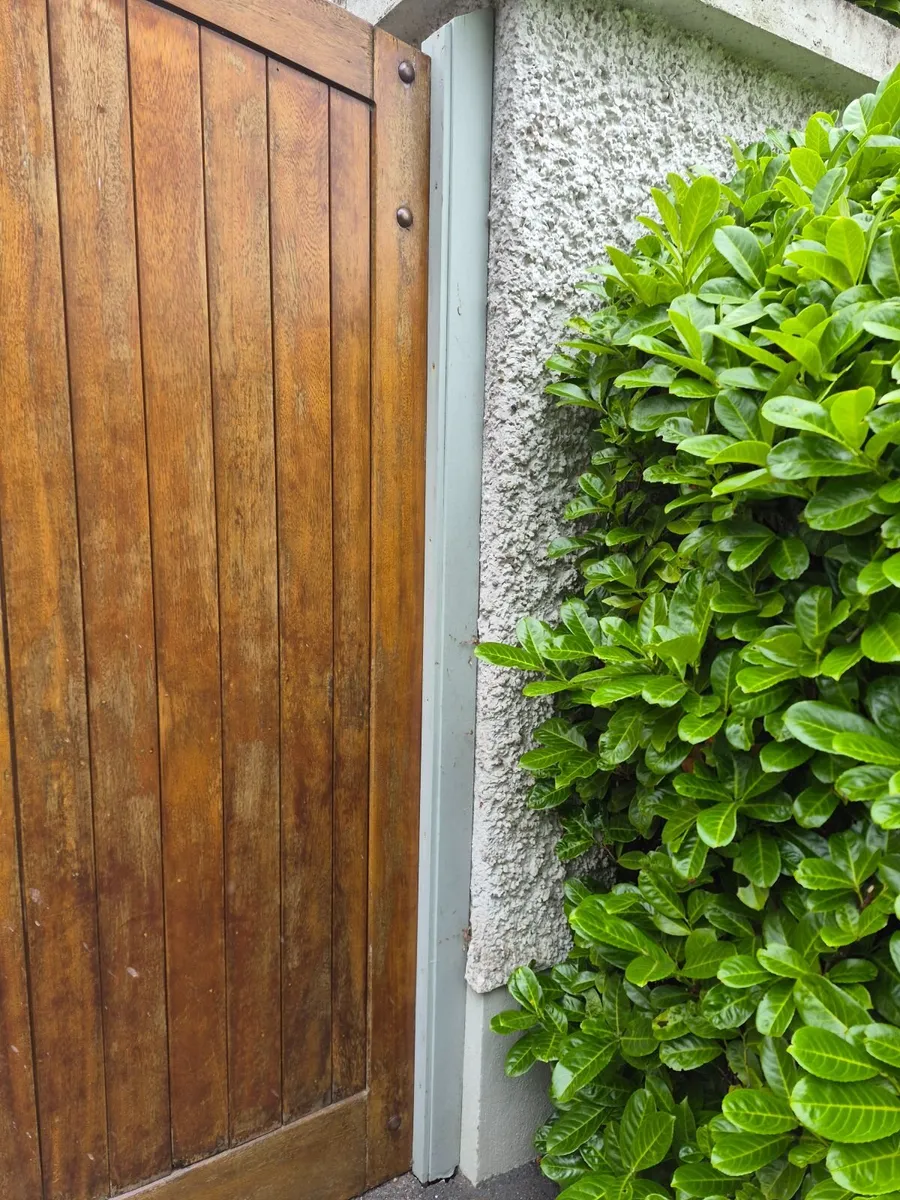 Solid wood garden gates - Image 3