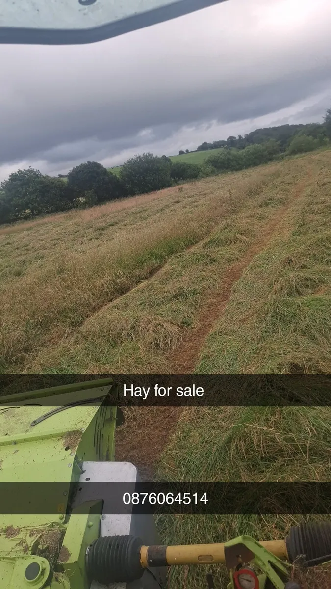 Quality hay for sale