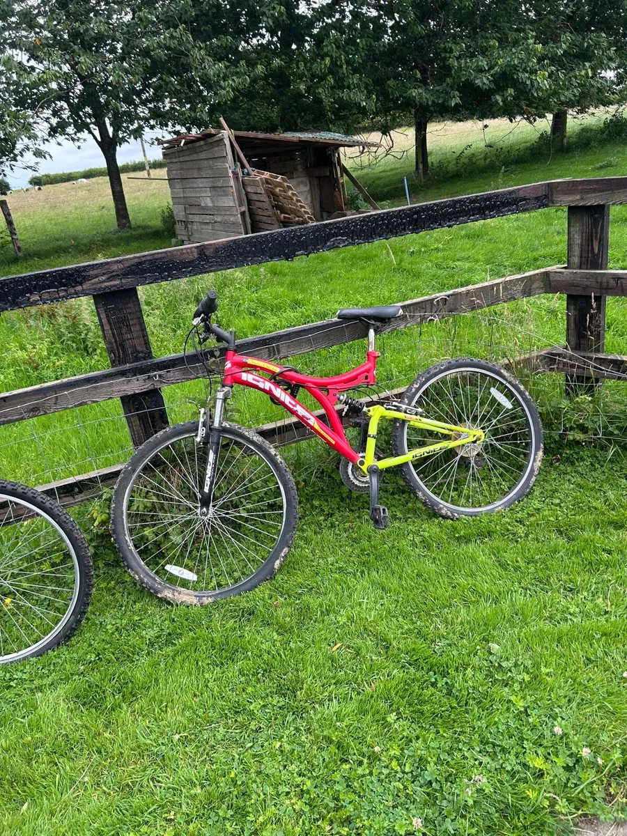 Bikes and flickers - Image 1