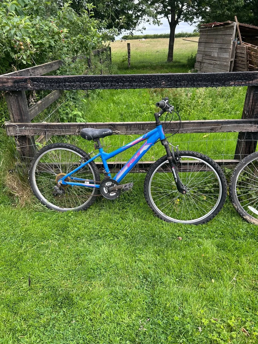 Bikes and flickers - Image 2