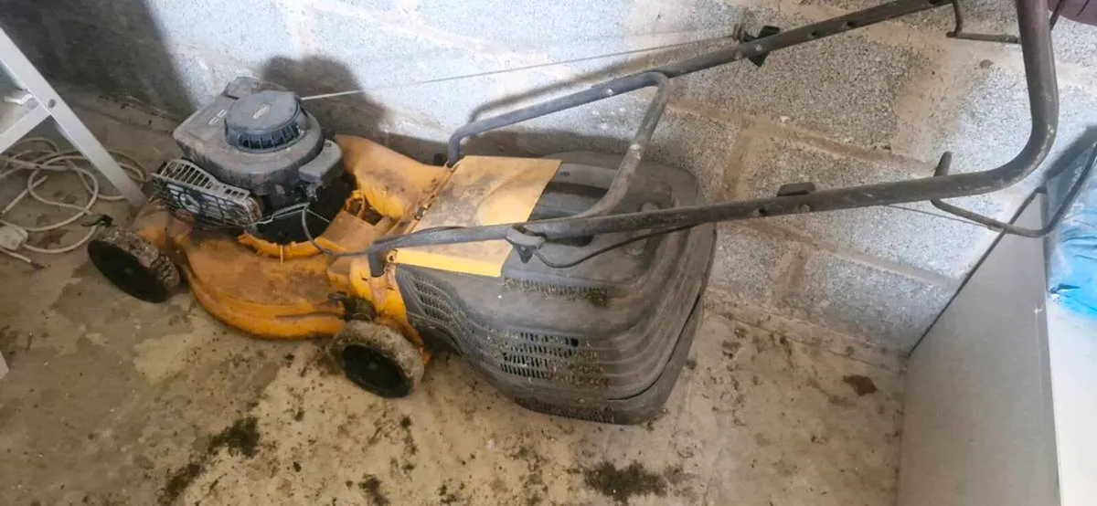 Lawnmower - Image 2