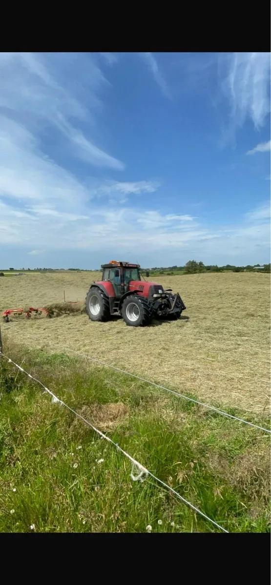 Horse hay - Image 3