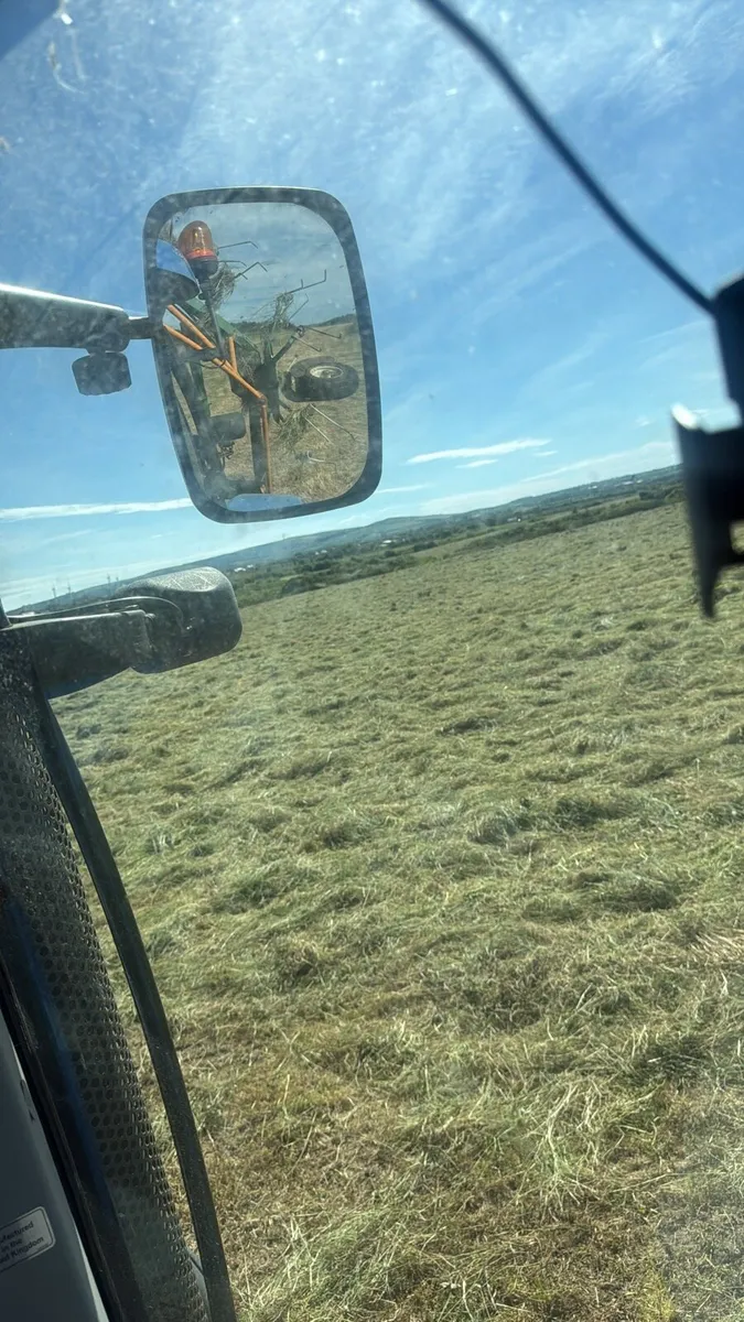Hay - Image 2